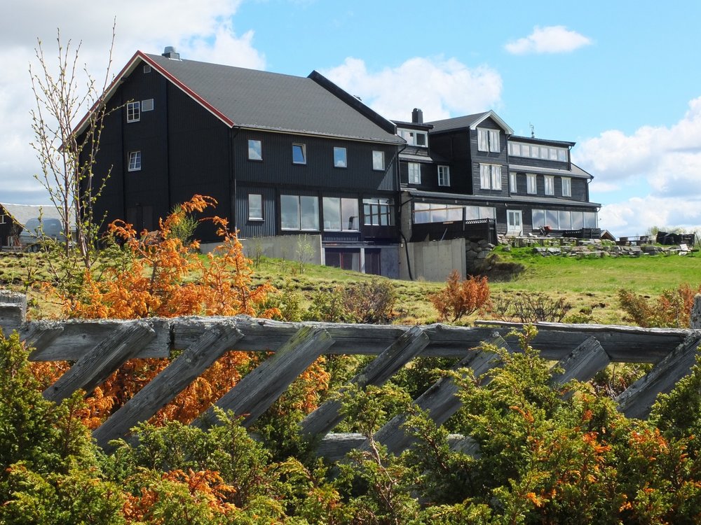 nordmannsreiser, norden, norge