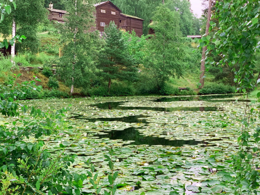nordmannsreiser, norden, norge