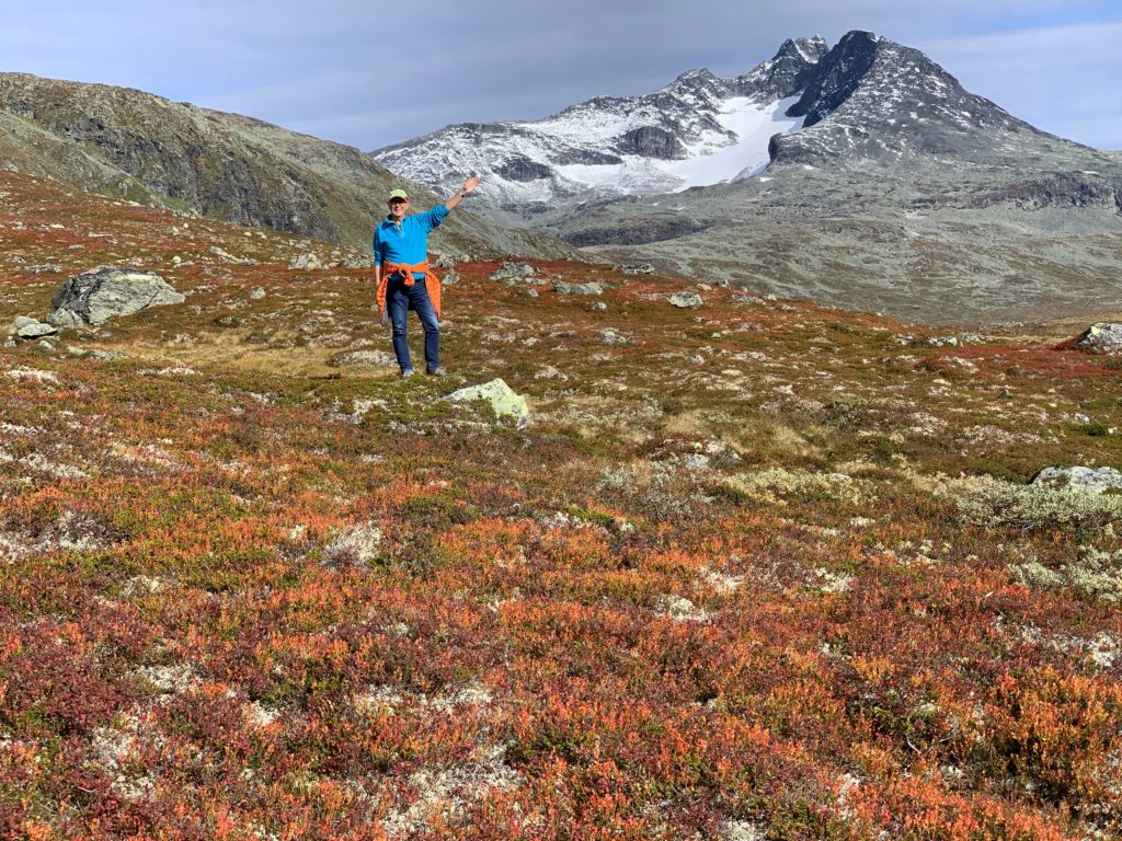 nordmannsreiser, norden, norge