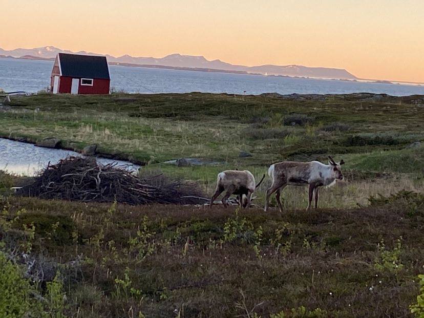 elsykkel i midnattsol på Senja