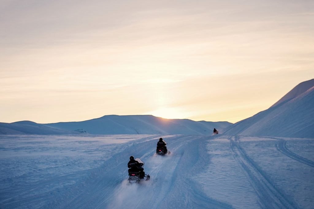 nordmannsreiser, norden, norge