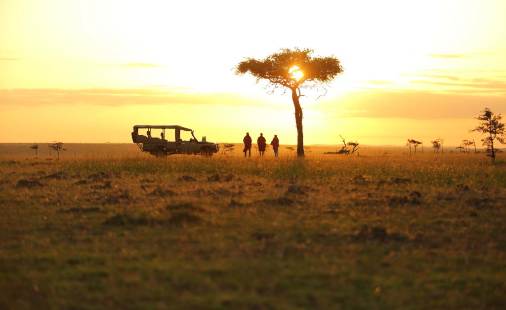 safari i Masai Mara USa spesialisten Amerikaspesialisten, nordmannsreiser, cruisereiser