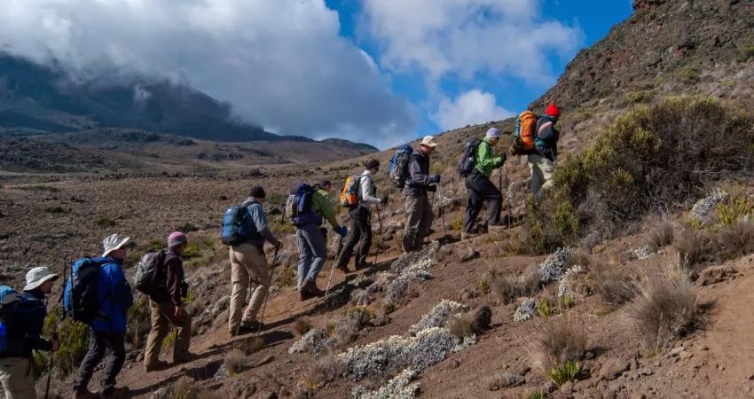 Reise til Kilimanjaro USa spesialisten Amerikaspesialisten, nordmannsreiser, cruisereiser