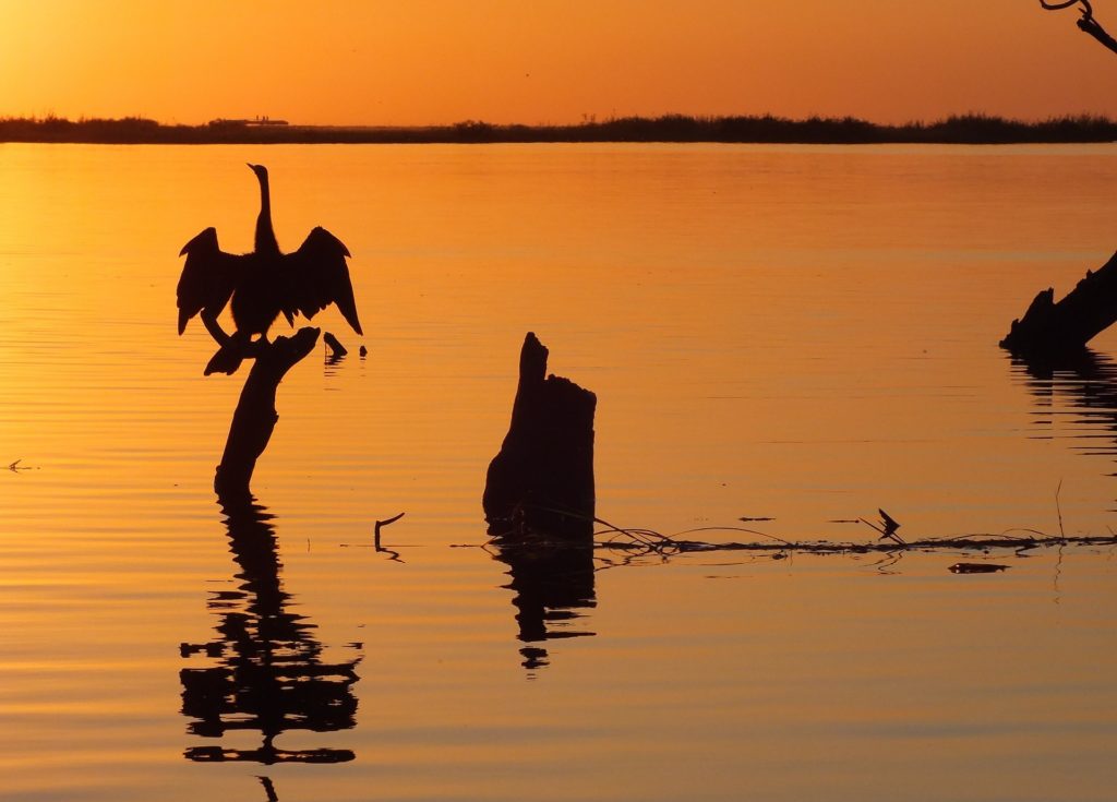 Safari i Victoria Falls og Chobe National Park USa spesialisten Amerikaspesialisten, nordmannsreiser, cruisereiser