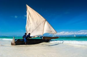 nordmannsreiser, amerikaspesialisten, cruisereiser, kenya safari og zanzibar