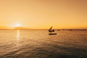 nordmannsreiser, amerikaspesialisten, cruisereiser, kenya safari og zanzibar