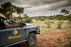 nordmannsreiser, amerikaspesialisten, cruisereiser, safari, afrika, reise til cape town og safari i timbavati