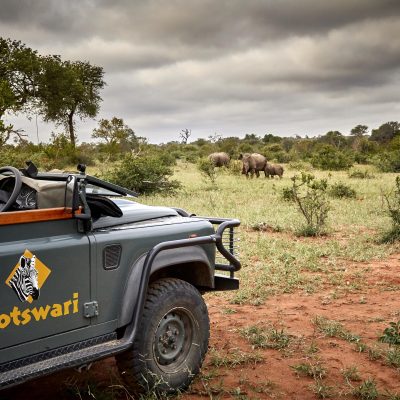 nordmannsreiser, amerikaspesialisten, cruisereiser, safari, afrika, reise til cape town og safari i timbavati